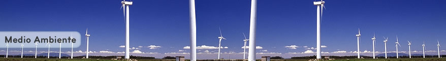 Medio Ambiente